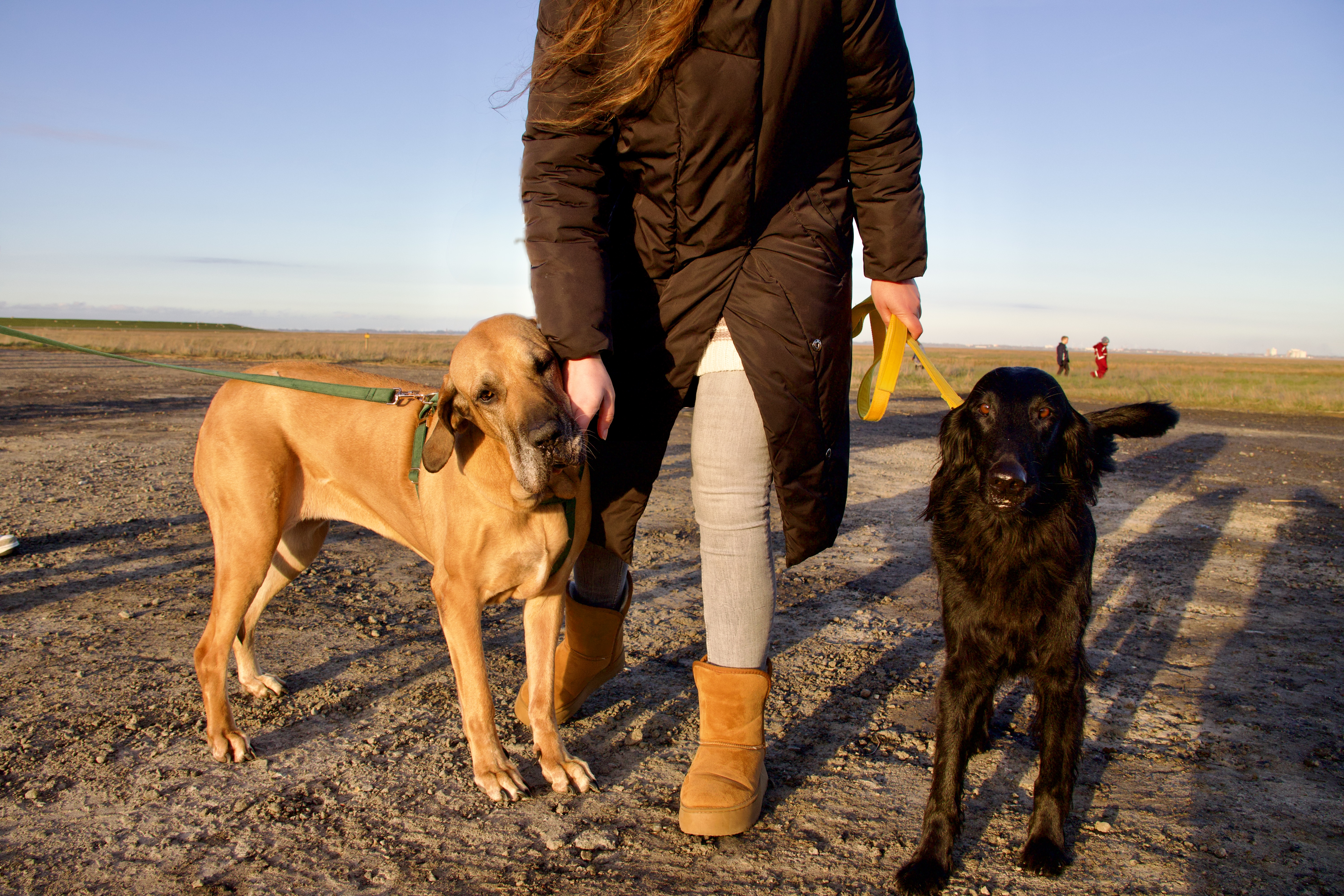 Hunde/IMG_1954.jpeg