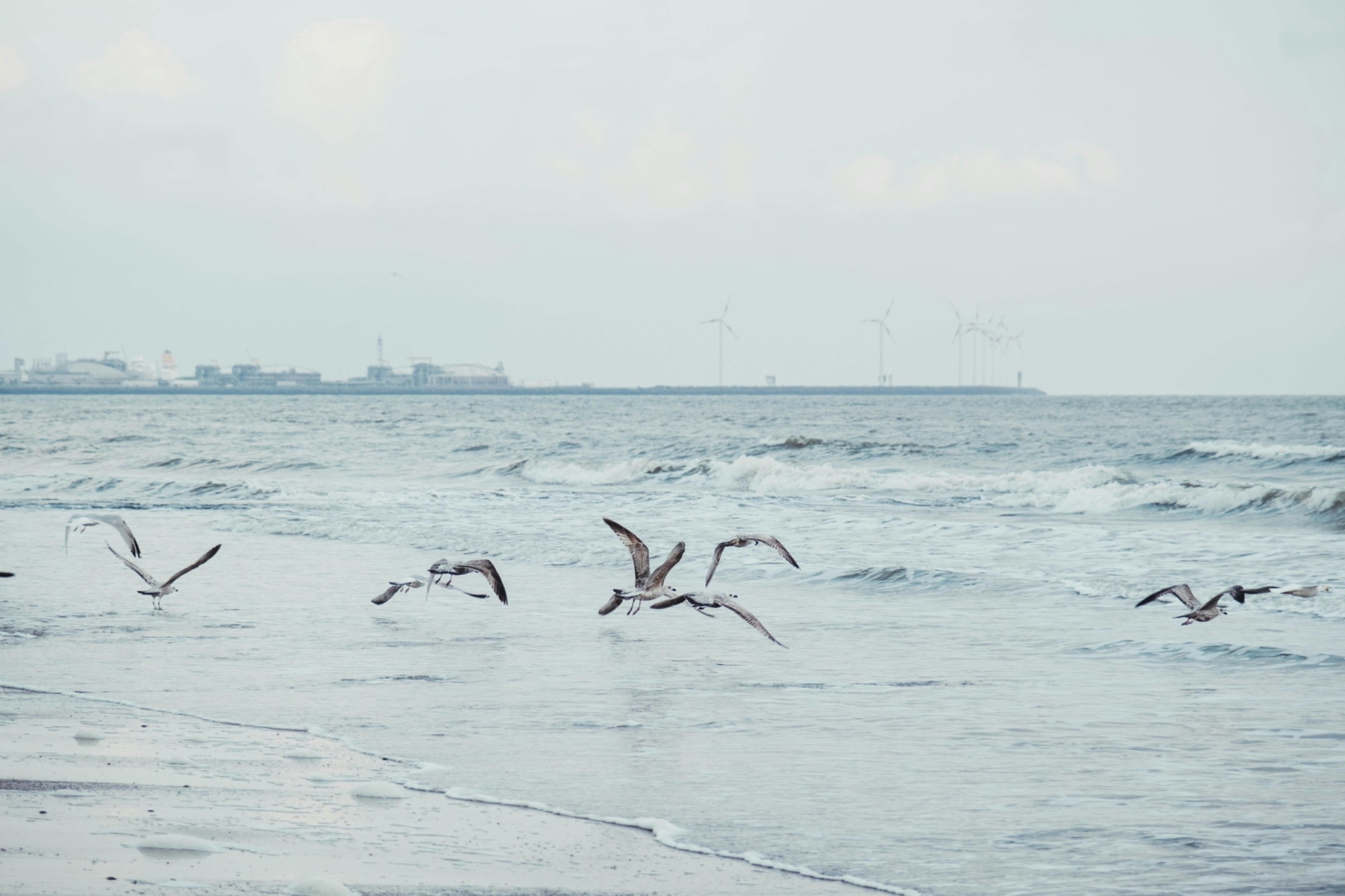 Stockfotos/pexels-laura-paredis-1047081-7858648.jpg